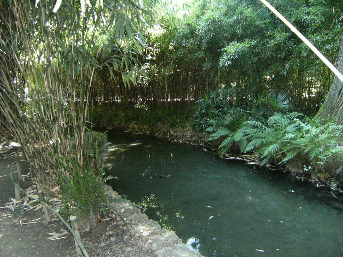 Retour Aux Sources Villa Sauve ภายนอก รูปภาพ